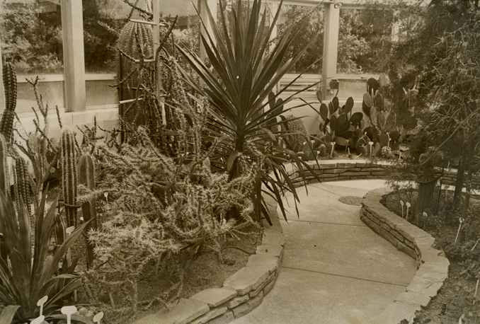 Arid Dome, Conservatory, Hidden Lake Gardens, 1969