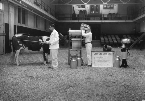Farmers Week: "Why Use More Milk" demonstration with cow