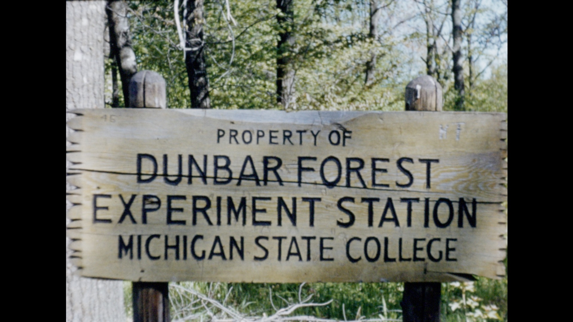 4-H Youth Programs film, circa 1950s