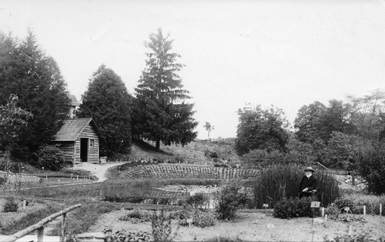 Beal in the Botanical Gardens