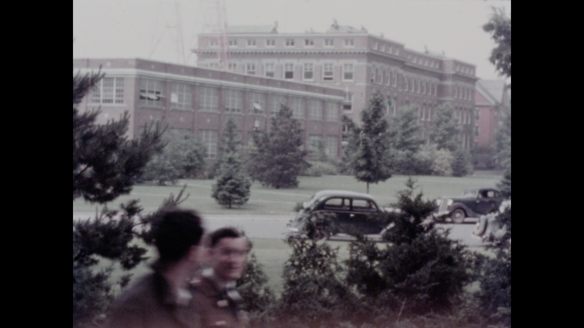 MSC Scenery, undated