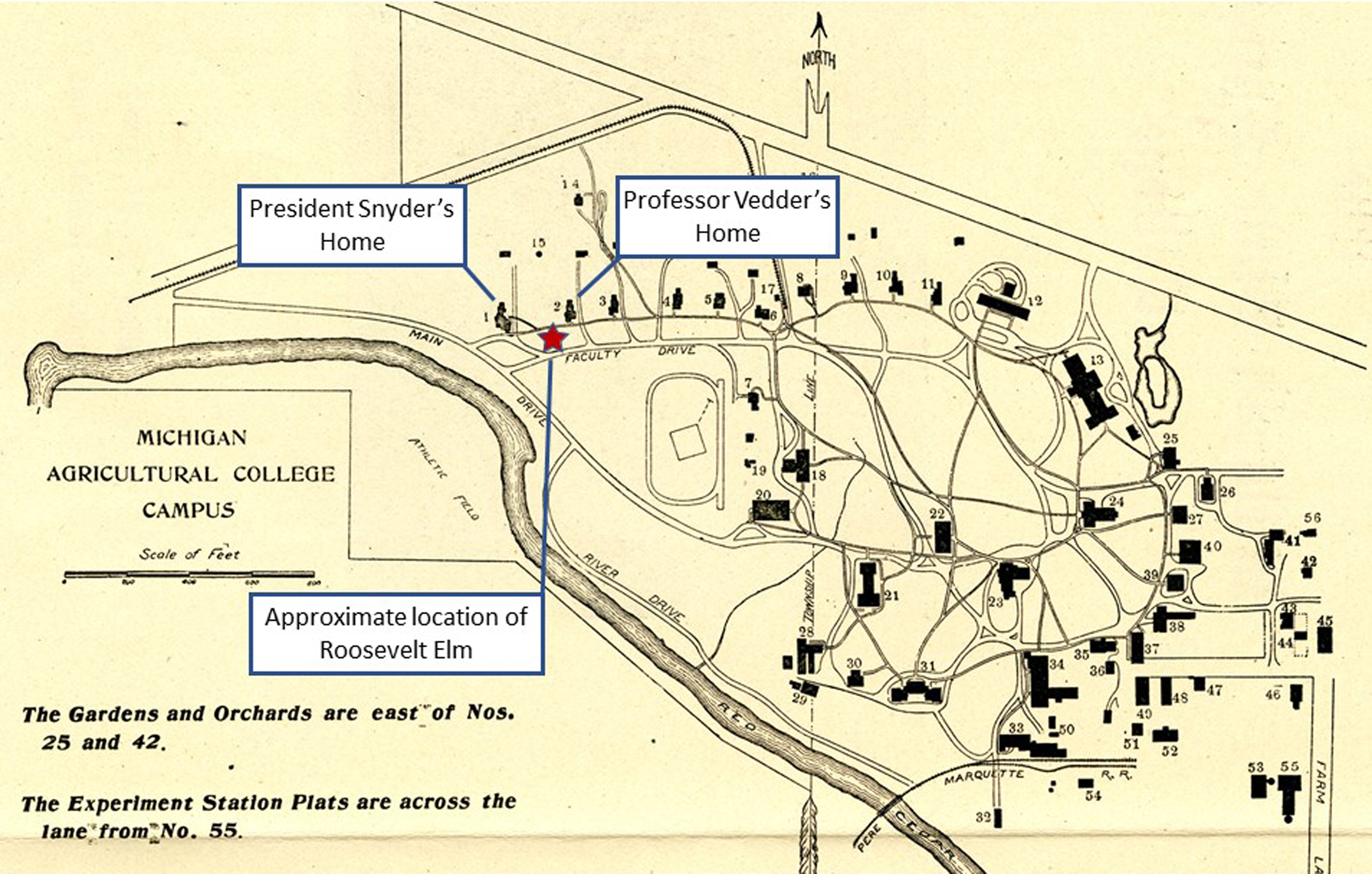 Location of the Roosevelt elm tree on a map