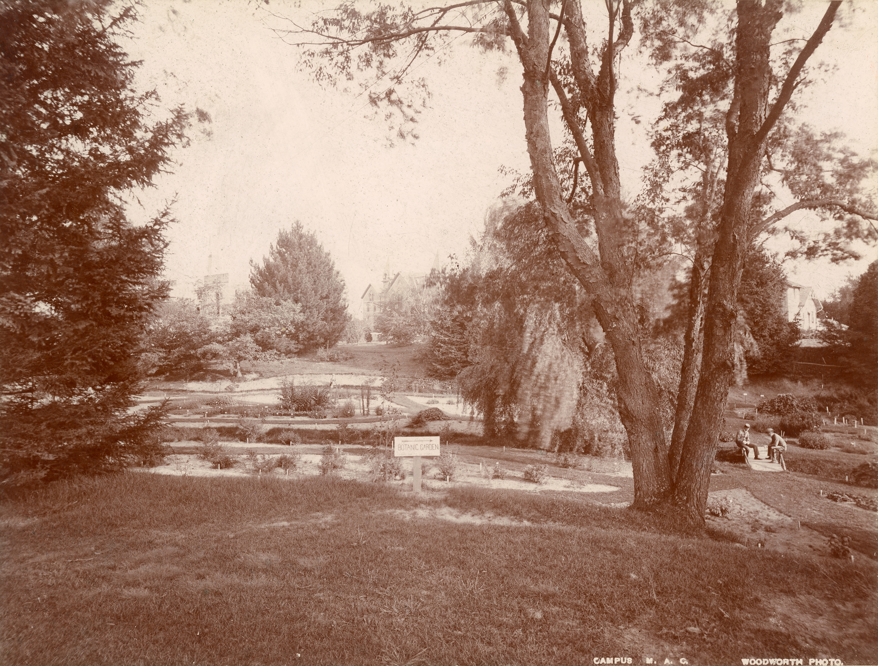 Beal Garden, Spring 1896