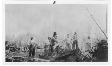 Stump Removal after Explosion